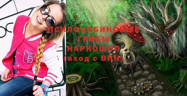 а пвп мука Касимов