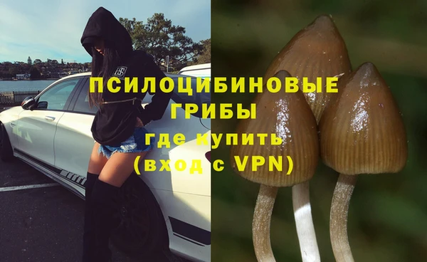 а пвп мука Касимов
