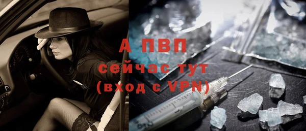 дживик Карпинск