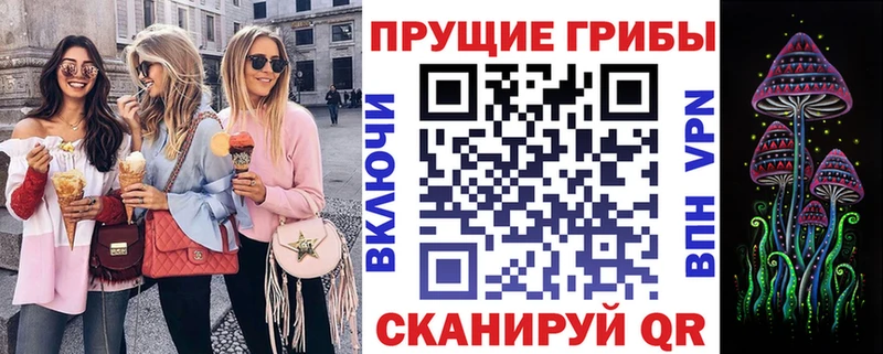 Псилоцибиновые грибы мицелий  Купить закладки  Боровичи 